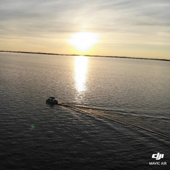 Meet your Posher, Charlie - Picture 1 of 1